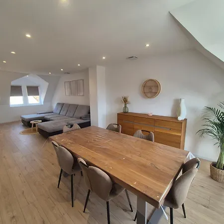 Appartement Lumineux Et Spatieux * Marlenheim
